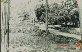 Keadaan asli sebelum proyek dilaksanakan (kondisi 0%). Tampak areal persawahan dan pohon kelapa..