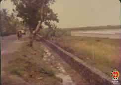 Tampak kondisi saat pekerjaan dilaksanakan dilihat dari sisi Selatan jalan. (bagian 2)