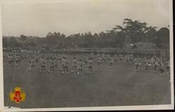 Penampilan Tarian Masal bersama Marching Band pada acara Desa Bina Budi Bangsa.